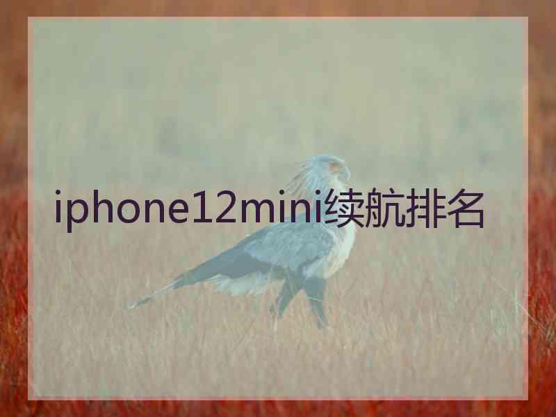 iphone12mini续航排名