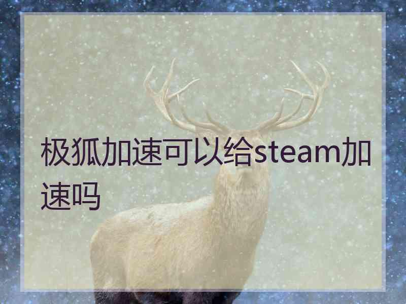 极狐加速可以给steam加速吗