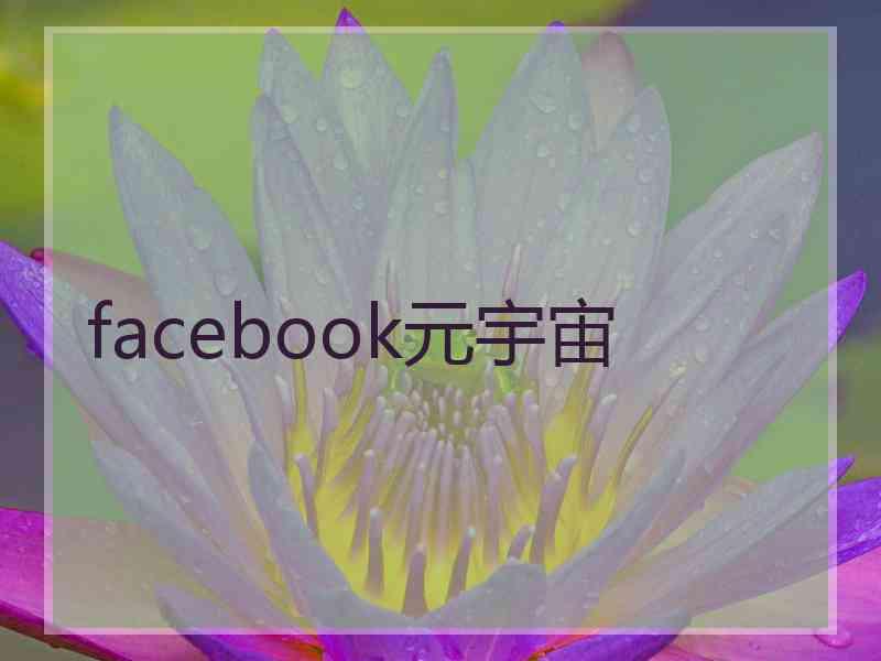 facebook元宇宙