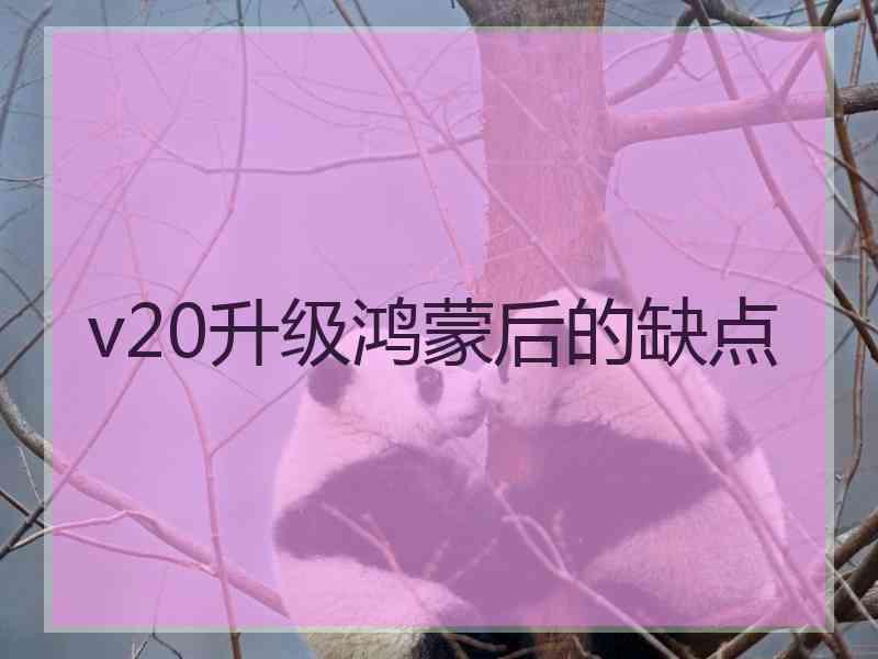 v20升级鸿蒙后的缺点