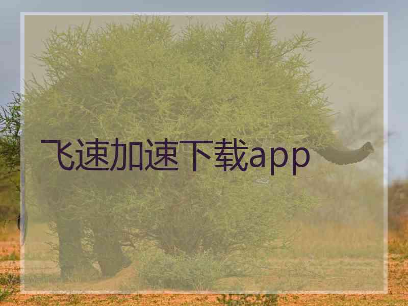 飞速加速下载app