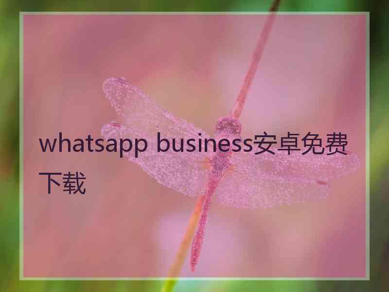 whatsapp business安卓免费下载