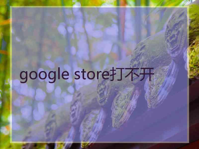 google store打不开