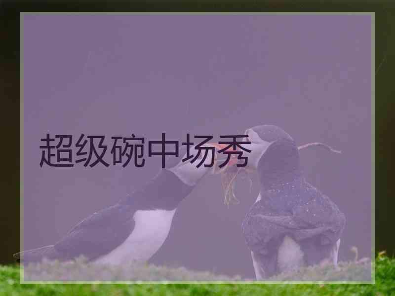 超级碗中场秀