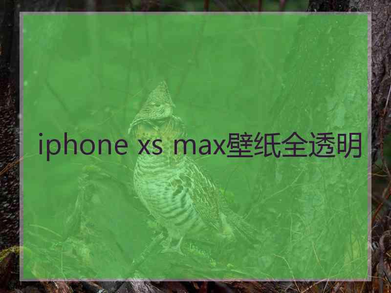 iphone xs max壁纸全透明