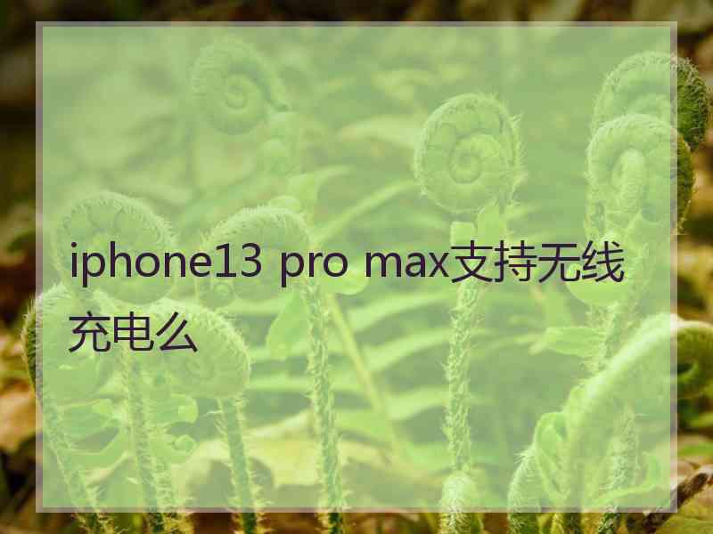 iphone13 pro max支持无线充电么