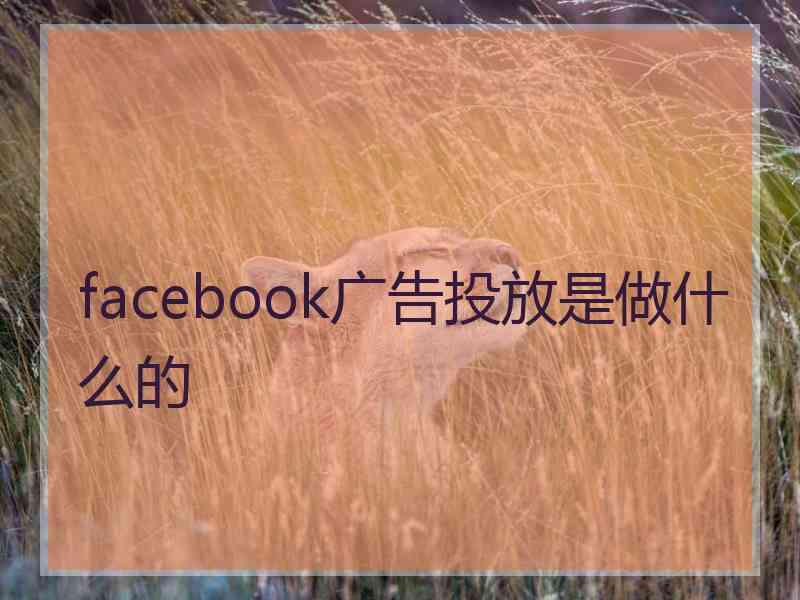 facebook广告投放是做什么的