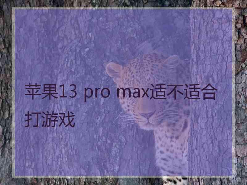 苹果13 pro max适不适合打游戏