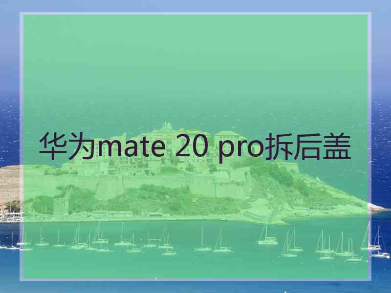 华为mate 20 pro拆后盖