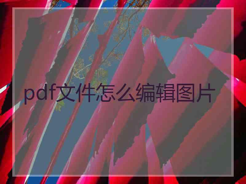 pdf文件怎么编辑图片