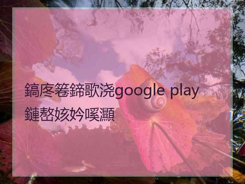 鎬庝箞鍗歌浇google play鏈嶅姟妗嗘灦