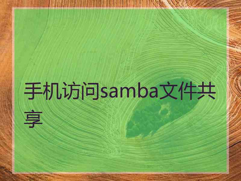 手机访问samba文件共享