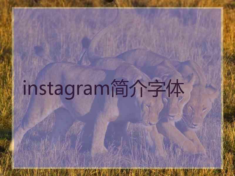 instagram简介字体