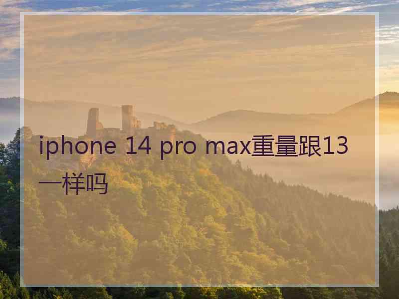 iphone 14 pro max重量跟13一样吗