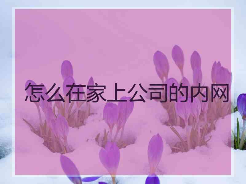 怎么在家上公司的内网