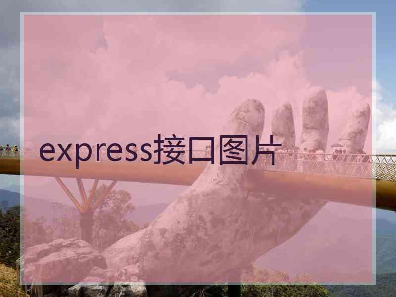 express接口图片