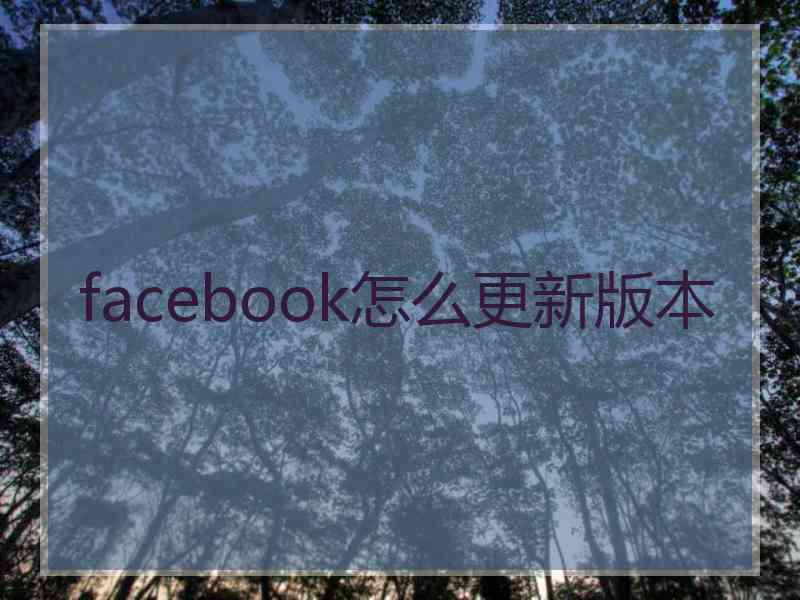 facebook怎么更新版本