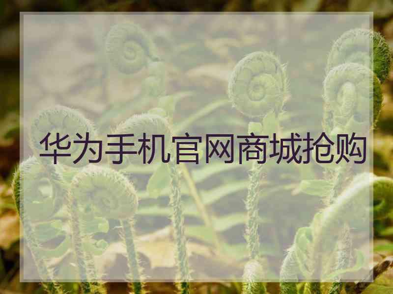 华为手机官网商城抢购