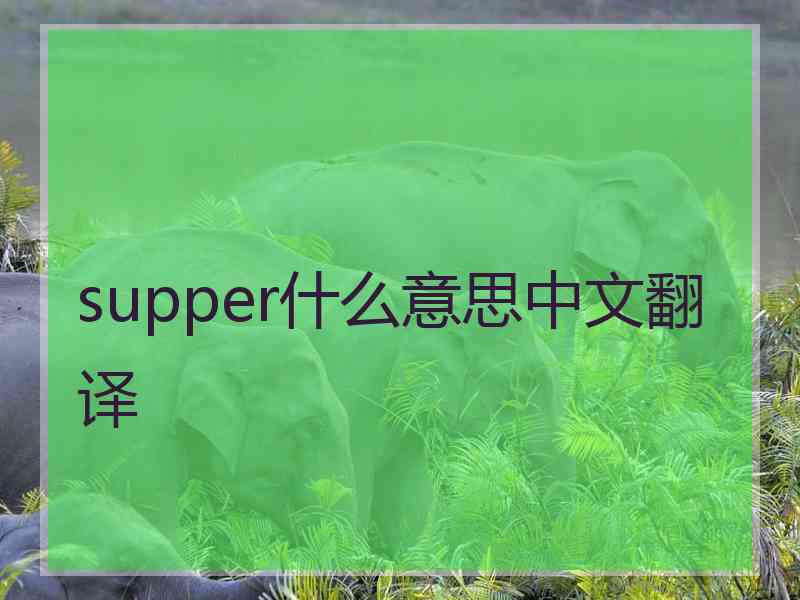 supper什么意思中文翻译