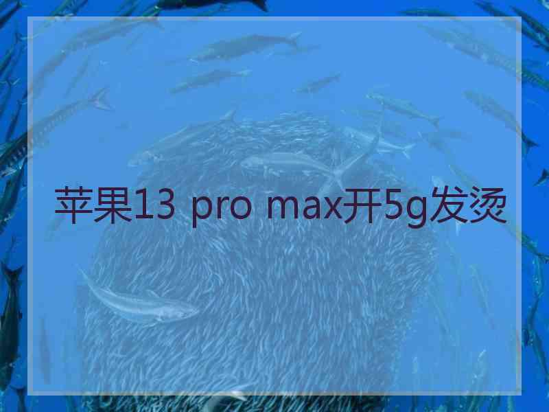 苹果13 pro max开5g发烫