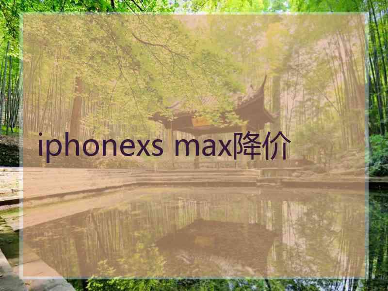 iphonexs max降价