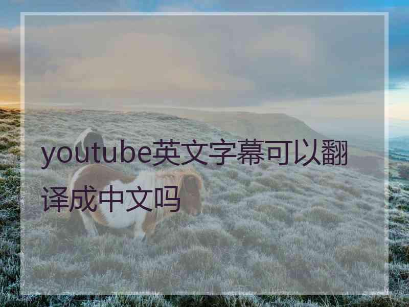 youtube英文字幕可以翻译成中文吗