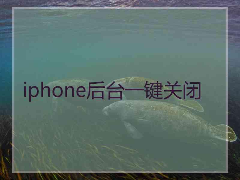 iphone后台一键关闭