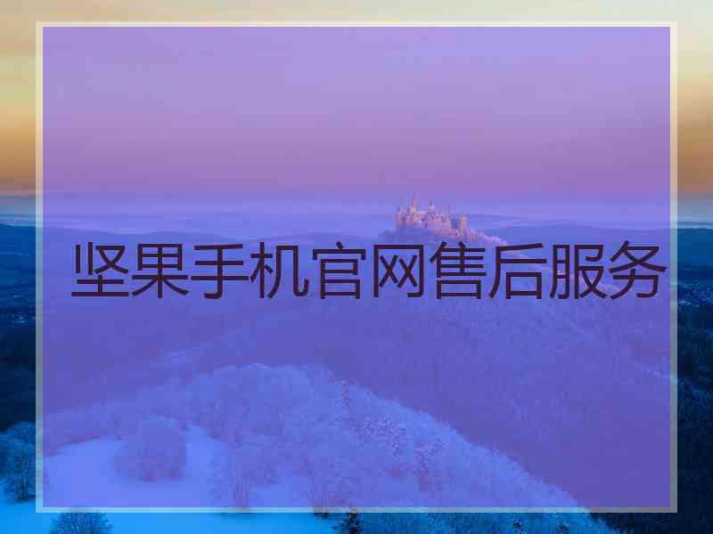 坚果手机官网售后服务