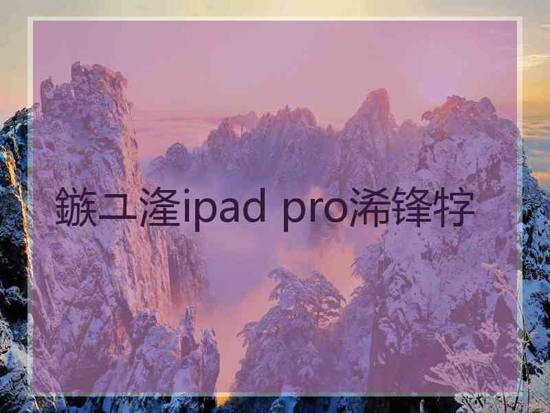 鏃ユ湰ipad pro浠锋牸