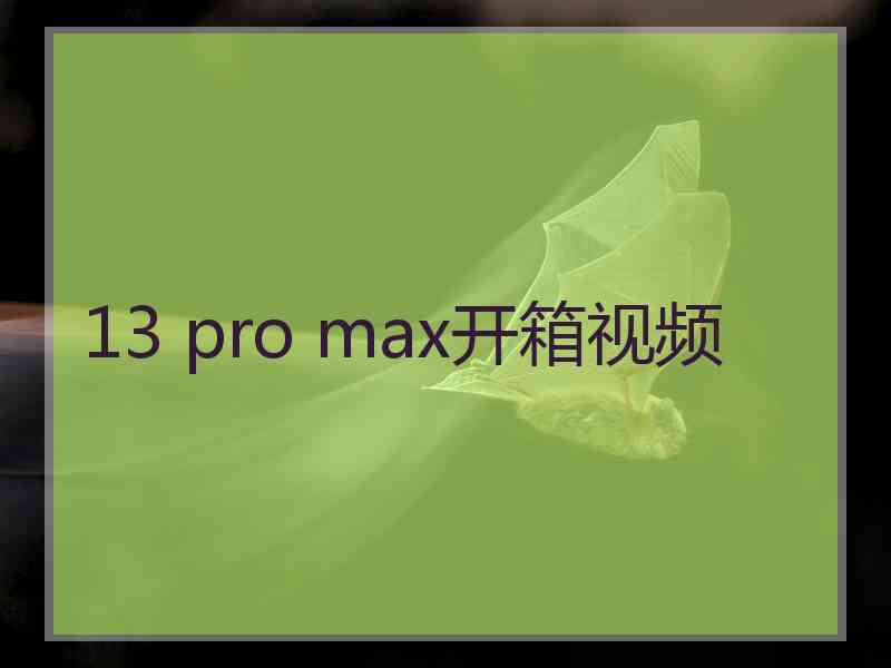 13 pro max开箱视频