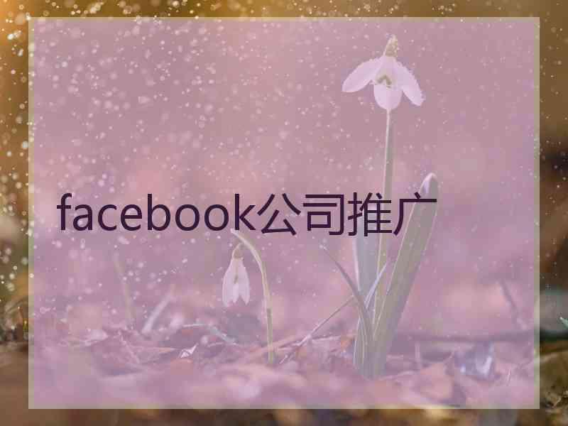 facebook公司推广