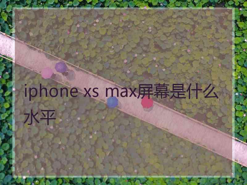 iphone xs max屏幕是什么水平