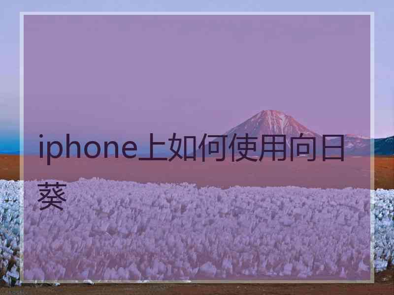 iphone上如何使用向日葵