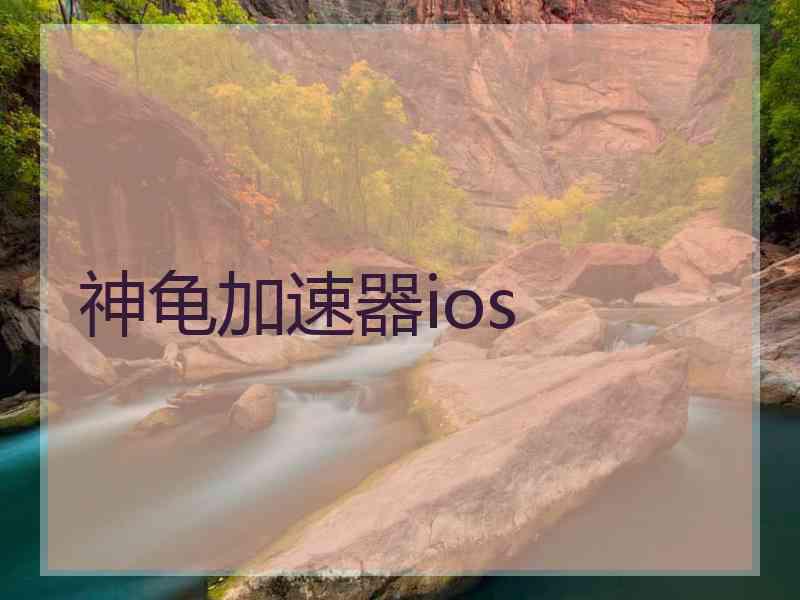 神龟加速器ios