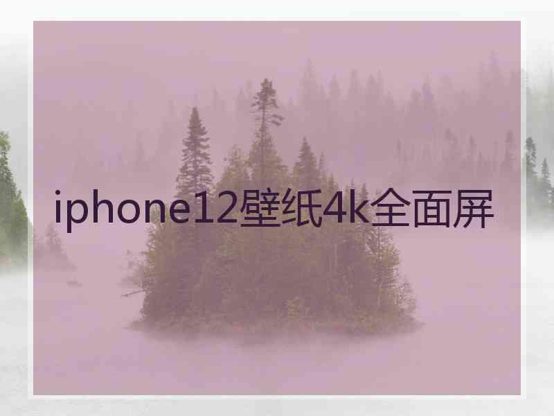 iphone12壁纸4k全面屏