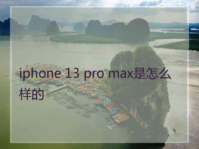 iphone 13 pro max是怎么样的