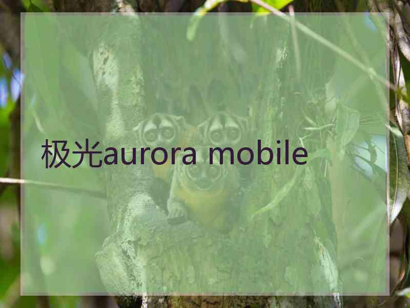 极光aurora mobile