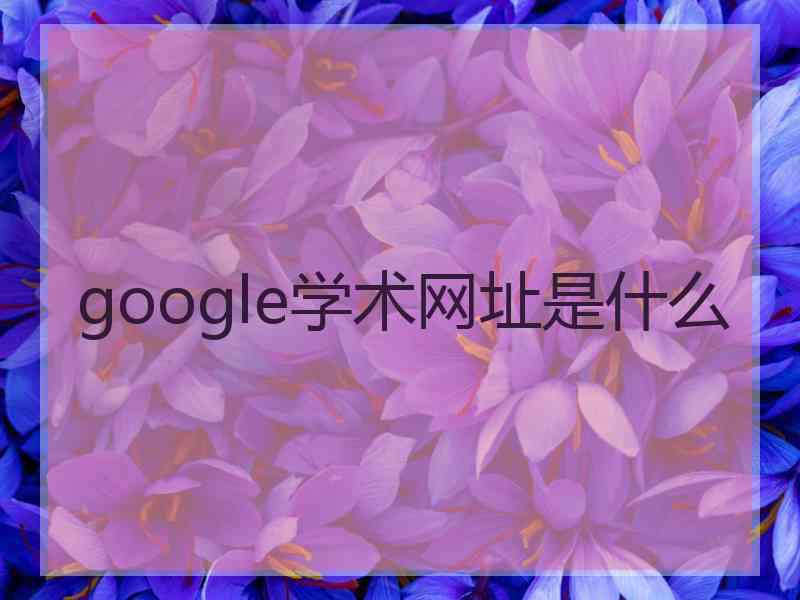 google学术网址是什么