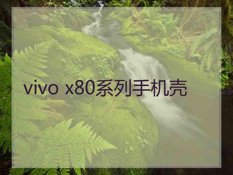 vivo x80系列手机壳