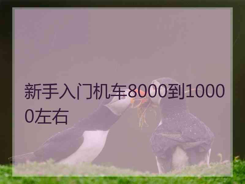 新手入门机车8000到10000左右