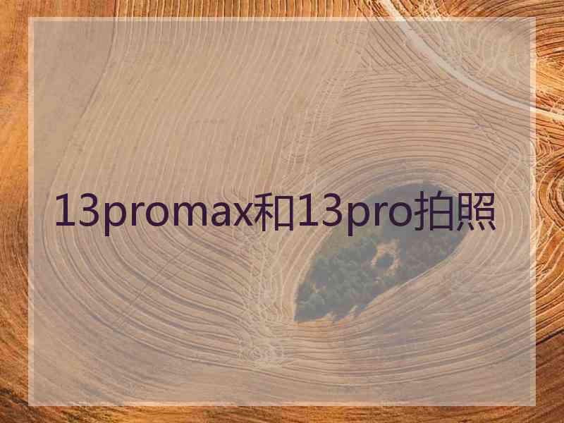 13promax和13pro拍照