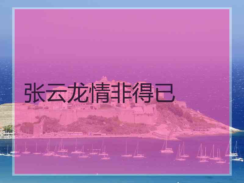 张云龙情非得已