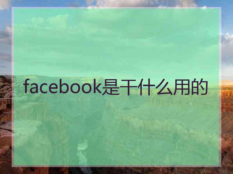 facebook是干什么用的