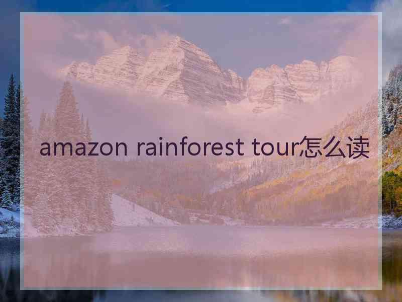 amazon rainforest tour怎么读