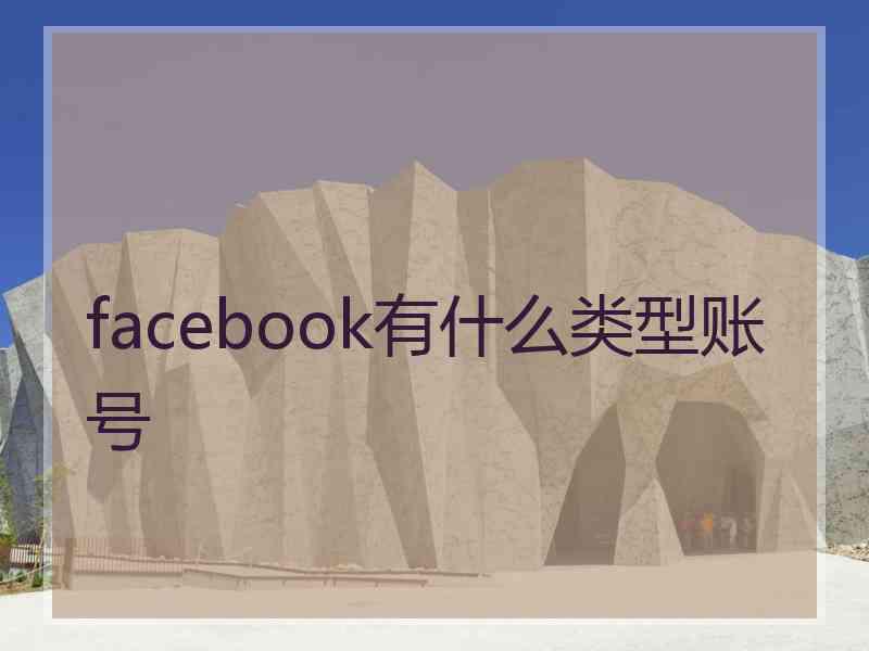 facebook有什么类型账号