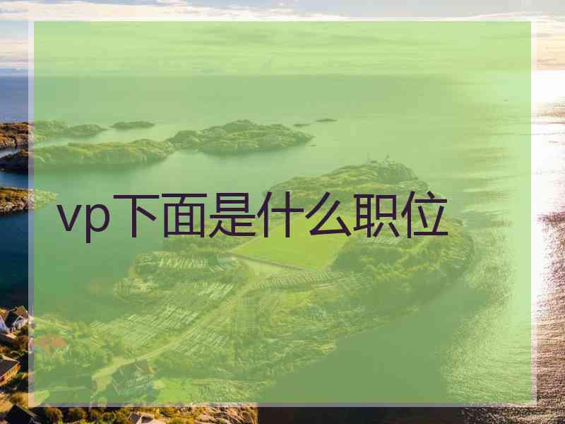 vp下面是什么职位