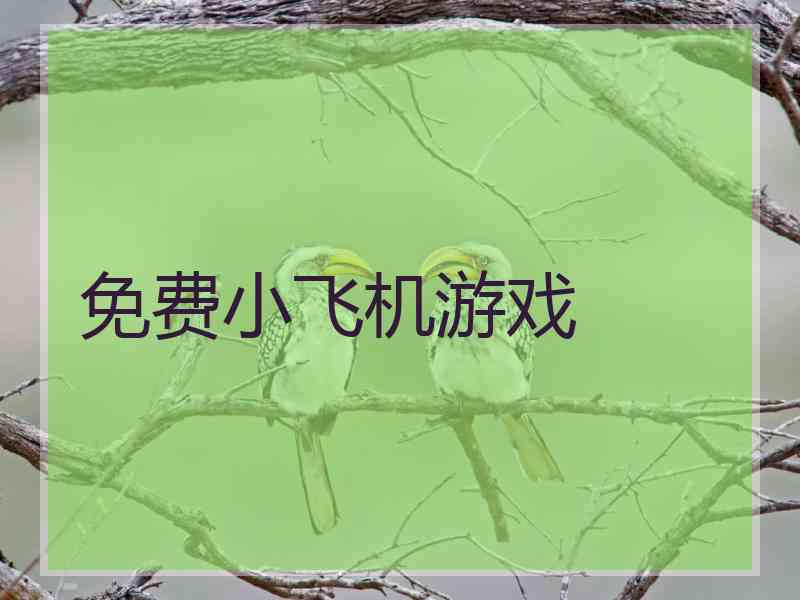 免费小飞机游戏