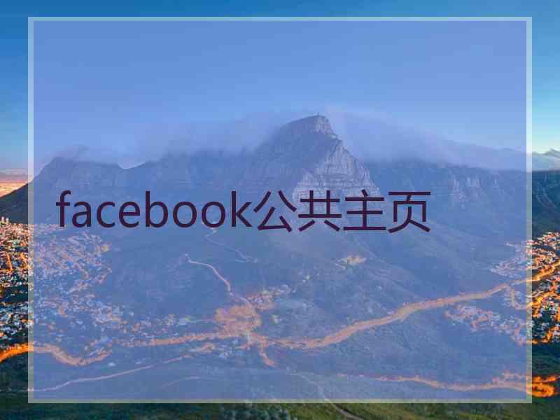 facebook公共主页