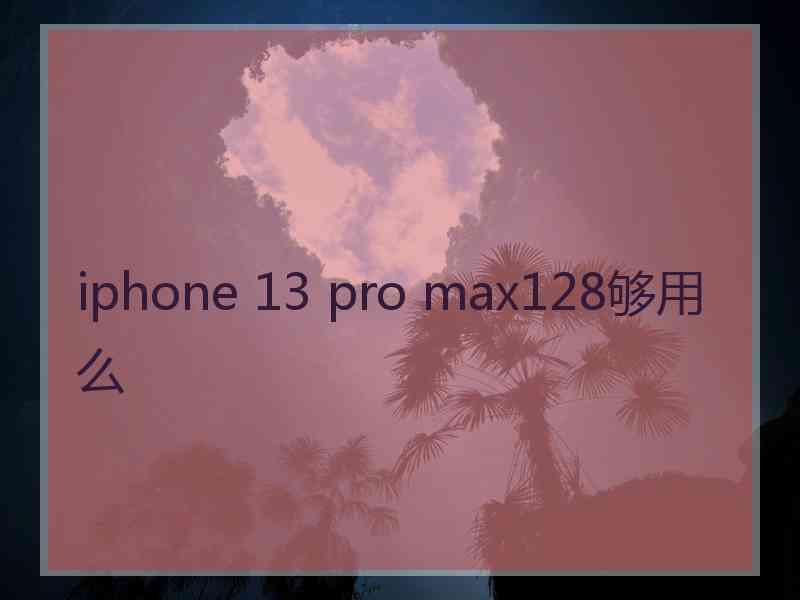 iphone 13 pro max128够用么