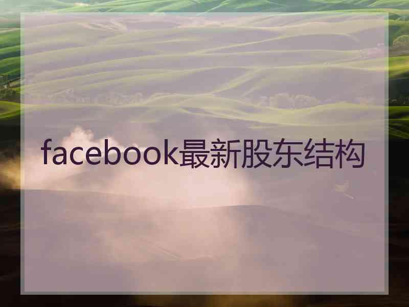 facebook最新股东结构